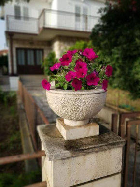 Apartman Petar